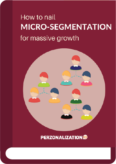 Customer Micro-segmentation strategies are often seen to garner some serious increase in sales and revenue for your eCommerce business.