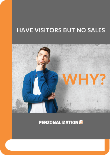 Have visitors or traffic but no sales? This is by far the most common question eCommerce store owners asks. This eBook is a guideline to overcome that problem.