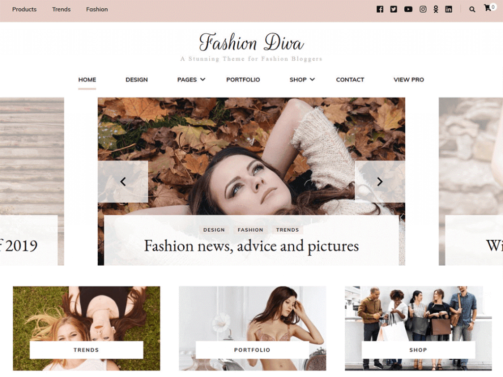 If you’re seeking a WooCommerce theme that’s consistent, credible, fast, ranks well with shoppers then employ one of these free WooCommerce themes for 2020.
